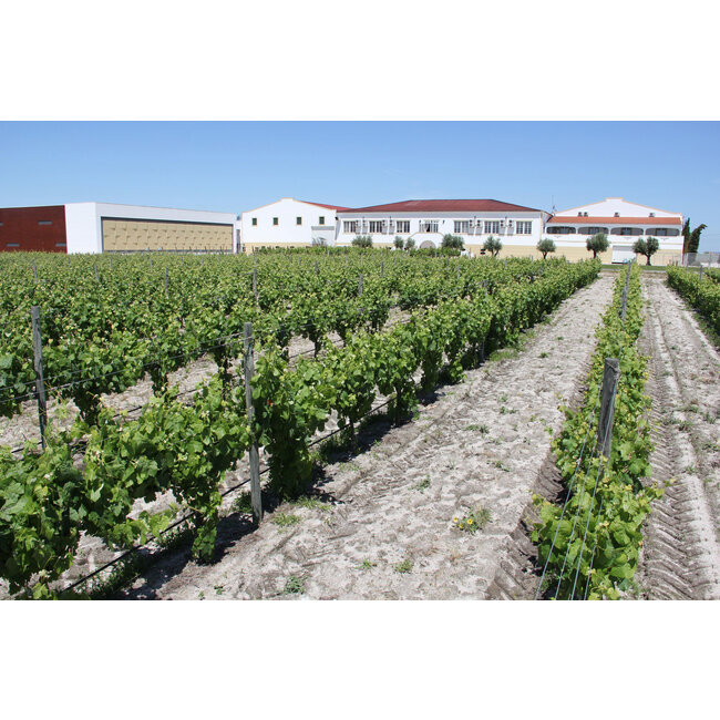 Casa Ermelinda Freitas Moscatel de Setúbal - Península de Setúbal, Portugal