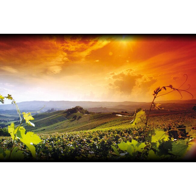 Don Tomasi Jatò Nero d'Avola Oro DOC Sicilia - Sicilië, Italië