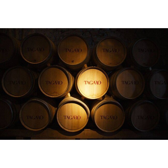 "A" Primitivo Tagaro I.G.P. - Puglia, Italië