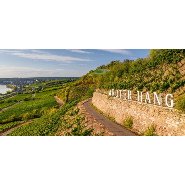 Nr. 18 Niersteiner Riesling Roter Hang The Finest Grapes - Rheinhessen, Duitsland