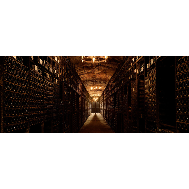 Château Mouton Rothschild 1e Cru Pauillac 2020 - Pauillac, Bordeaux, Frankrijk