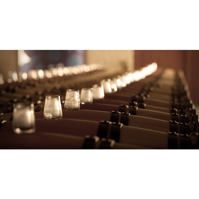 Château Olivier Grand Cru Classé de Graves 2020 - Pessac-Léognan, Bordeaux, Frankrijk