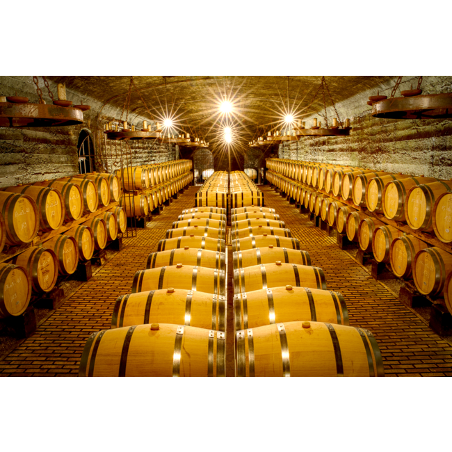 Châteauneuf-du-Pape 2022 Château de la Gardine - Côtes du Rhône, Frankrijk