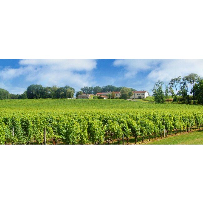 Château Pouyanne Graves Blanc 0,375L - Graves, Bordeaux. Frankrijk