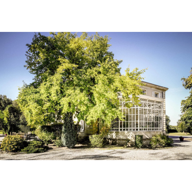 Château Belgrave 5e Cru Haut-Médoc 2016 - Haut-Médoc, Bordeaux, Frankrijk