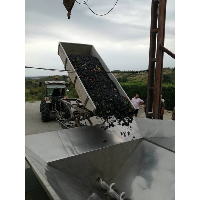 Zagreus Winery Mavrud Reserve - Thracische Vallei, Bulgarije