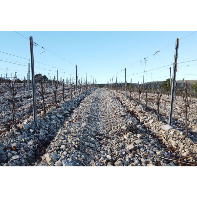 Roques N'Roll Rouge Carignan Réserve - La Livinière, Minervois, Frankrijk