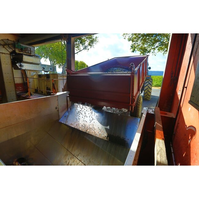 Cuvée Elysique Signature Prestige Les Vignerons de Camplong - Pays d'Oc, Frankrijk