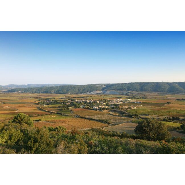 Cuvée Elysique Signature Prestige Les Vignerons de Camplong - Pays d'Oc, Frankrijk