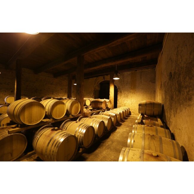 Cuvée Elysique Rouge Signature Prestige Les Vignerons de Camplong - Pays d'Oc, Frankrijk