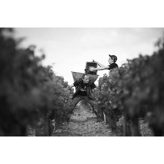 Château d'Issan Le Haut-Médoc d'Issan 2018 - Haut-Médoc, Bordeaux, Frankrijk