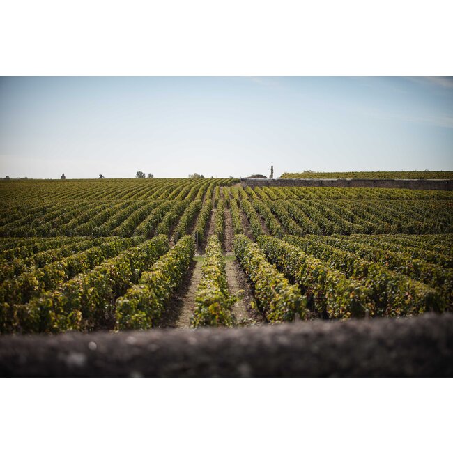 Château d'Issan Le Haut-Médoc d'Issan 2018 - Haut-Médoc, Bordeaux, Frankrijk
