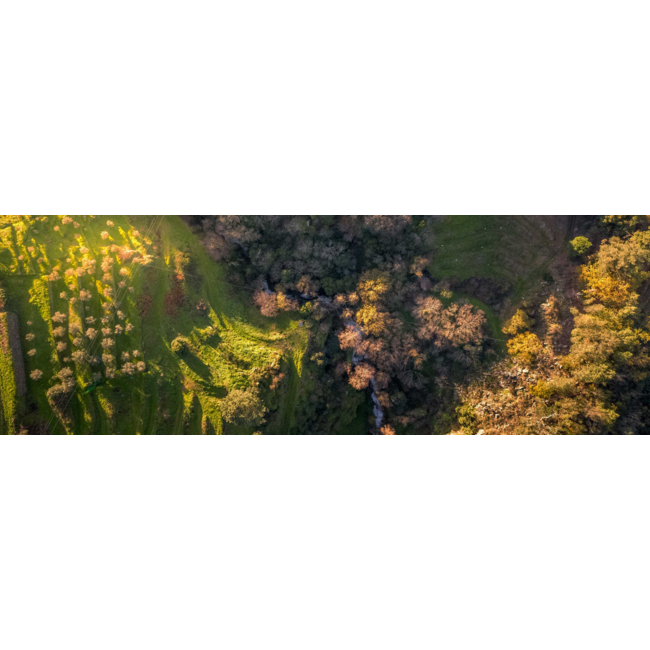 Quinta das Sequeirinhas White Reserve Porto - Douro, Portugal