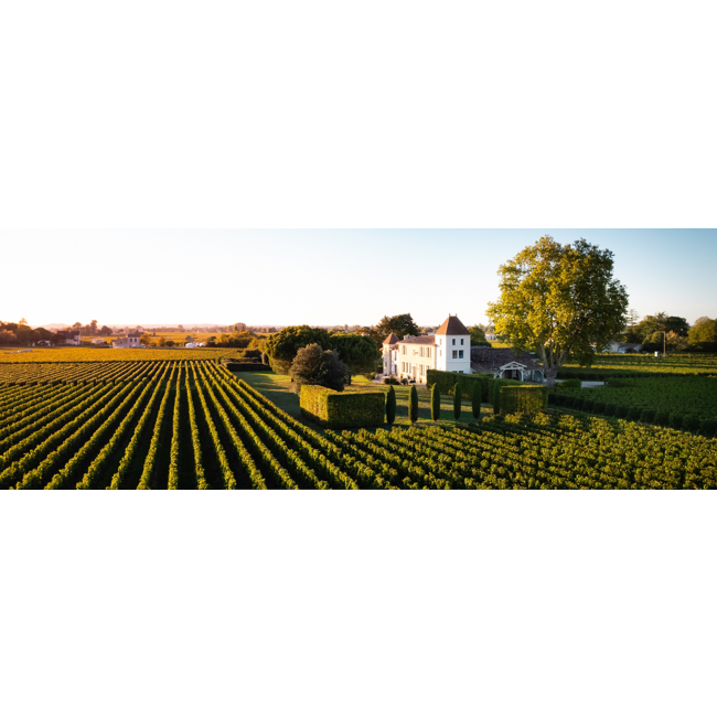 Château La Commanderie Saint-Émilion Grand Cru Classé 2020 - Saint-Émilion, Bordeaux, Frankrijk