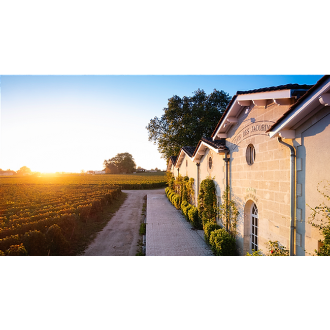 Château La Commanderie Saint-Émilion Grand Cru Classé 2020 - Saint-Émilion, Bordeaux, Frankrijk