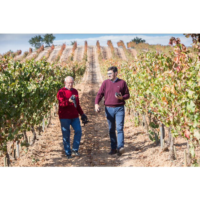 Señorío de Sotillo Gran Reserva D.O. Bodega S. Arroyo 2015 - Ribera del Duero, Spanje