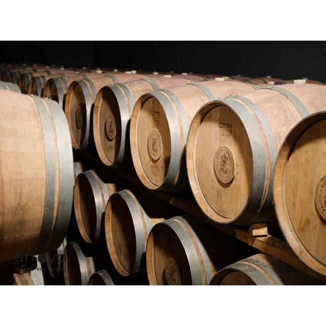 Señorío de Sotillo Gran Reserva D.O. Bodega S. Arroyo 2015 - Ribera del Duero, Spanje