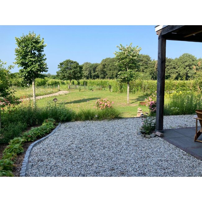 Wijngoed Wolf Souvignier Reserve 2023 - Sint-Michielsgestel, Nederland