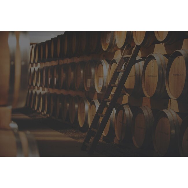 Cuvée Laurence Elevé en fûts de chêne Blanc A.O.C. Cheval Quancard - Entre-Deux-Mers, Bordeaux, Frankrijk