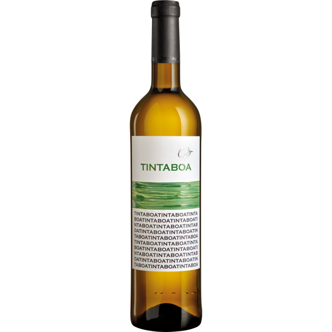 TintaBoa Branco Quinta da Casaboa - Lissabon, Portugal