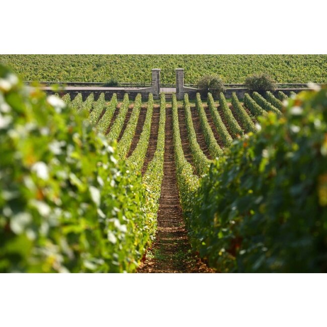 Maison Chanzy Mercurey Blanc Les Caraby 2020 - Bourgogne, Frankrijk