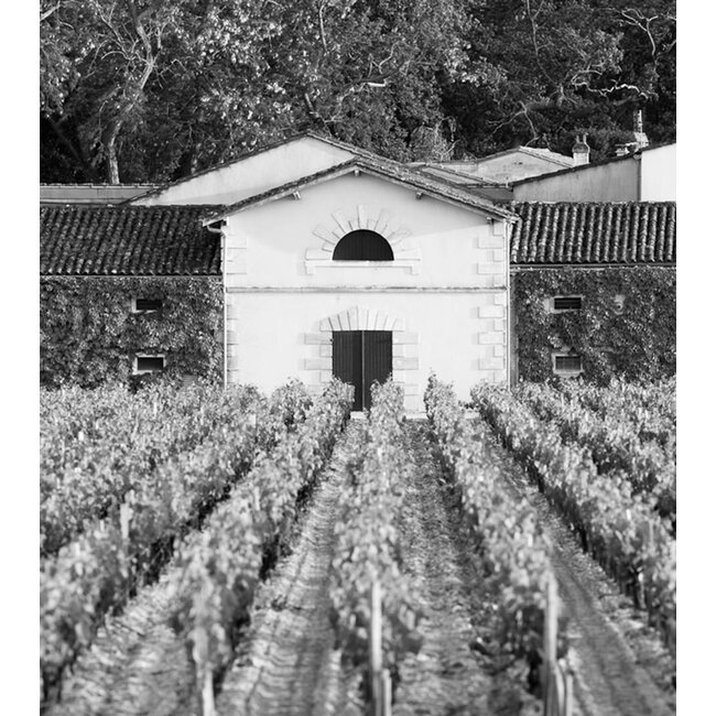 Château Cantemerle 5e Cru Haut-Médoc 2022 - Haut-Médoc, Bordeaux, Frankrijk