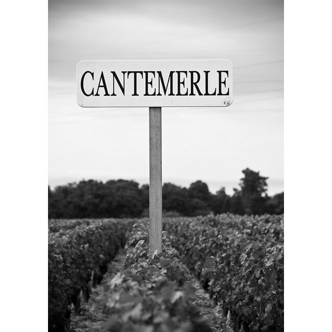 Château Cantemerle 5e Cru Haut-Médoc 2022 - Haut-Médoc, Bordeaux, Frankrijk