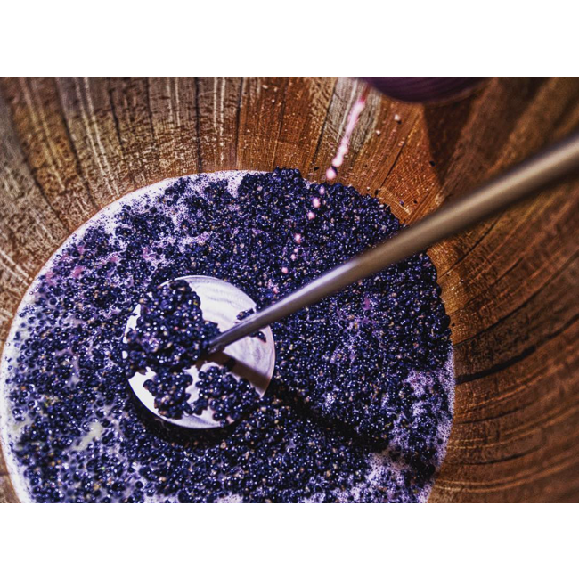 Château Grand-Puy Ducasse 5e Cru Pauillac 2022 - Pauillac, Bordeaux, Frankrijk