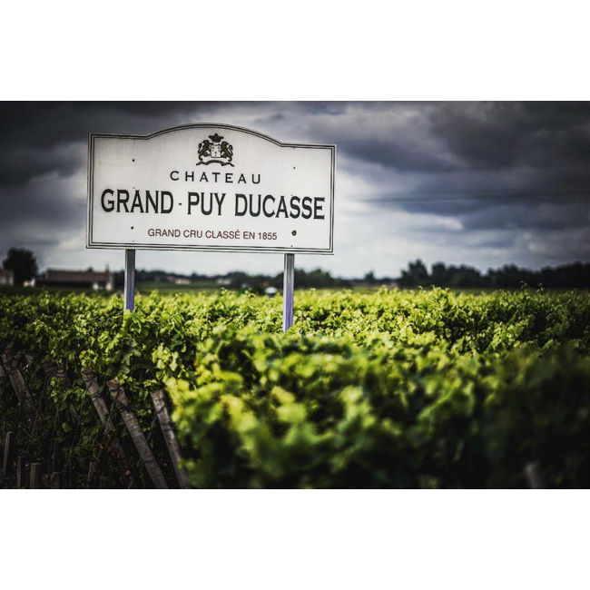 Château Grand-Puy Ducasse 5e Cru Pauillac 2022 - Pauillac, Bordeaux, Frankrijk