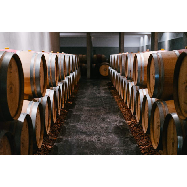 Château Grand-Puy Ducasse 5e Cru Pauillac 2022 - Pauillac, Bordeaux, Frankrijk