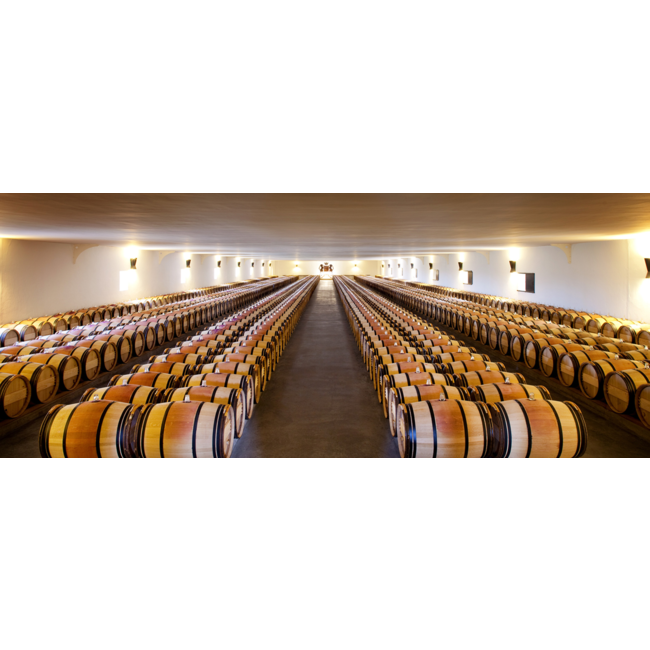 Château Mouton Rothschild 1e Cru Pauillac 2022 - Pauillac, Bordeaux, Frankrijk