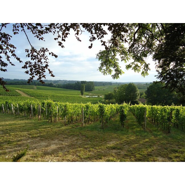 Château Valandraud Premier Grand Cru Classé 2022 - Saint-Émilion, Bordeaux, Frankrijk