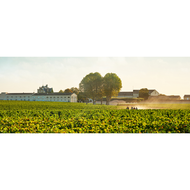 Château Mouton Rothschild 1e Cru Pauillac 2023 - Pauillac, Bordeaux, Frankrijk