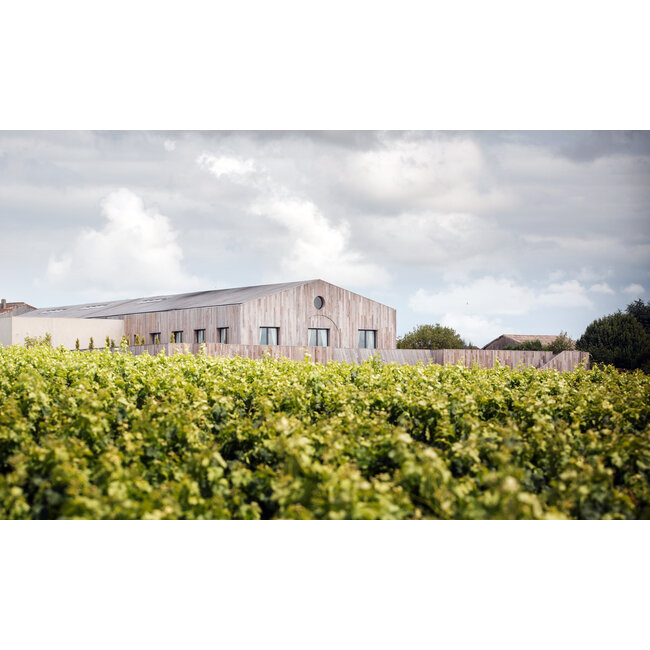 Château Clerc Milon 5e Cru Pauillac 2023 - Pauillac, Bordeaux, Frankrijk