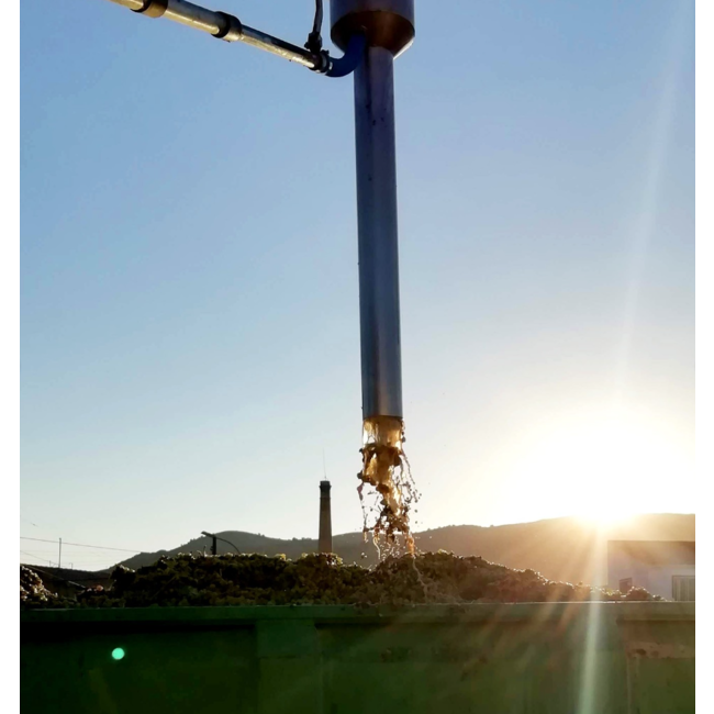 Bodega Las Virtudes Vinalopó Blanco Sauvignon Blanc - Alicante, Spanje