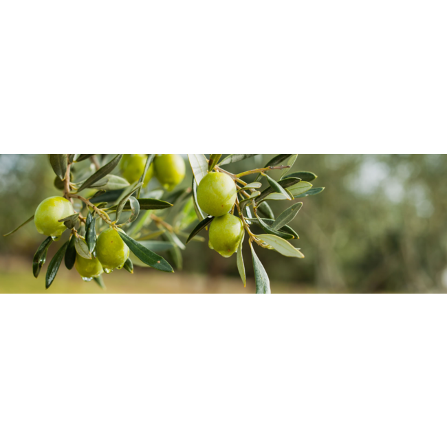 Bodega Las Virtudes Aceite de Oliva Virgen Extra Ecológico Arbequina 0,5L - Alicante, Spanje