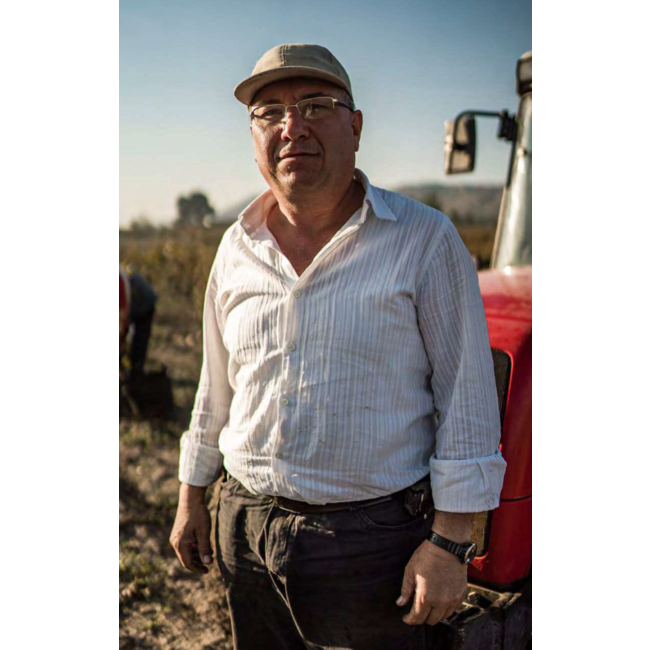 Bodega Las Virtudes Aceite de Oliva Virgen Extra Ecológico Arbequina 0,5L - Alicante, Spanje