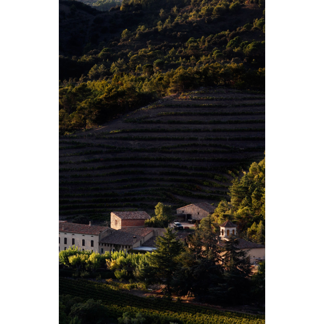 Celler de l'Era MIM Montsant D.O. 2013 - Montsant, Spanje