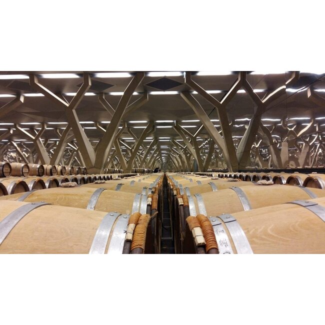 Château Talbot 4e Cru Saint-Julien 2023 - Saint-Julien, Bordeaux, Frankrijk