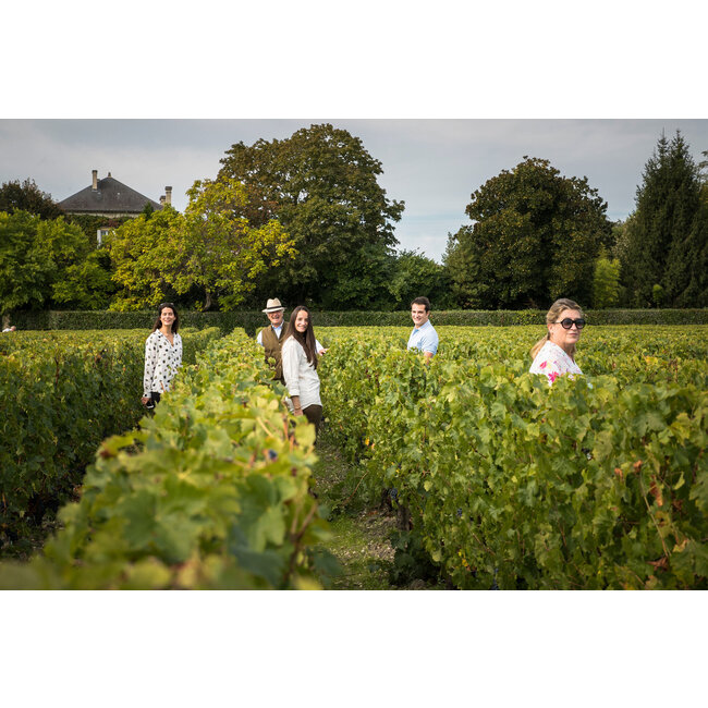 Château Talbot 4e Cru Saint-Julien 2023 - Saint-Julien, Bordeaux, Frankrijk