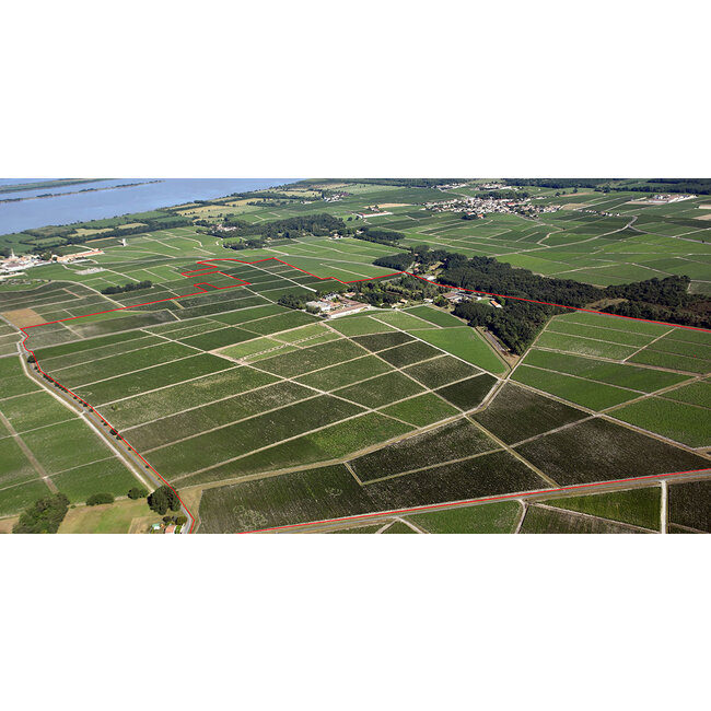 Château Talbot 4e Cru Saint-Julien 2023 - Saint-Julien, Bordeaux, Frankrijk