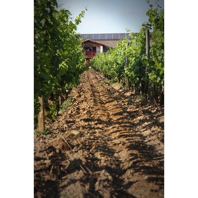 Clos Floridène Blanc 2023 - Graves, Bordeaux, Frankrijk