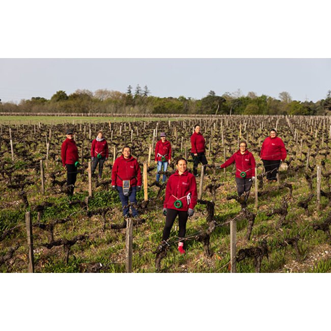 Château Giscours 3e Cru Margaux 2023 - Margaux, Bordeaux, Frankrijk