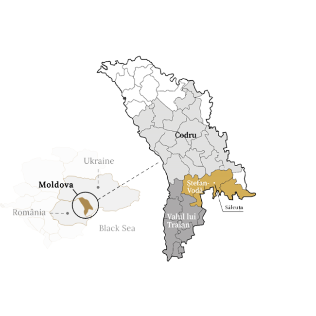 Salcuta Feteasca Albă Winemaker's Way - Stefan Voda, Moldavië