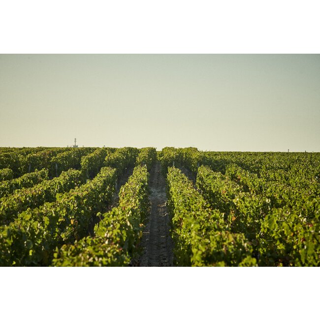 Château Prieuré-Lichine 4e Cru Margaux 2021 - Margaux, Bordeaux, Frankrijk