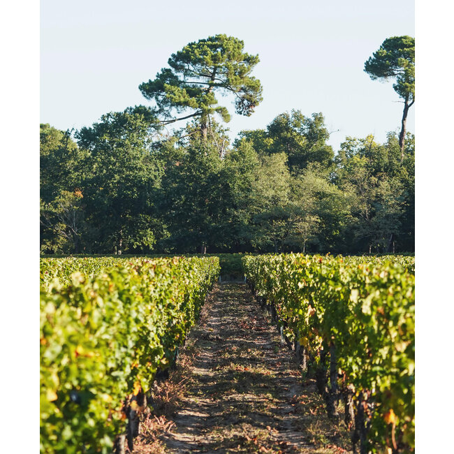 Château de Sales 2023 - Pomerol, Bordeaux, Frankrijk