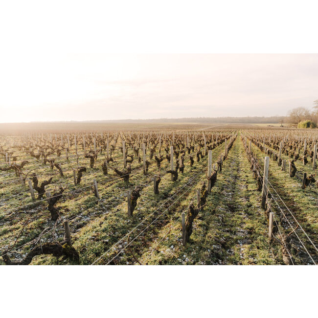 Château Lagrange 3e Cru Saint-Julien 2018 - Saint-Julien, Bordeaux, Frankrijk