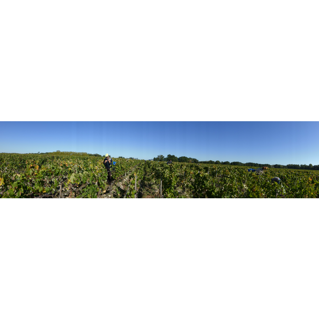 Château Boyd-Cantenac 3e Cru Margaux 2022 - Margaux, Bordeaux, Frankrijk