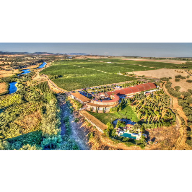 Pago del Vicario Blanco de Tempranillo Blanc de Noirs - Castilla-La Mancha, Spanje