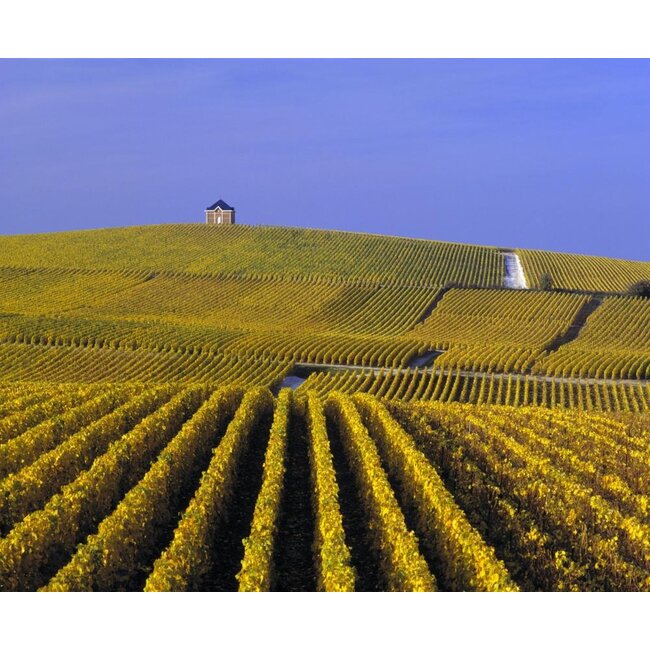 1-fles wijnkist Launois Père et Fils Millesimé Grand Cru - Mesnil-sur-Oger, Champagne, Frankrijk